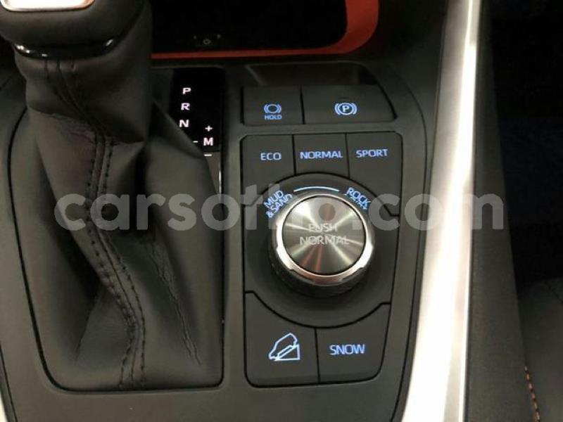 Big with watermark 4