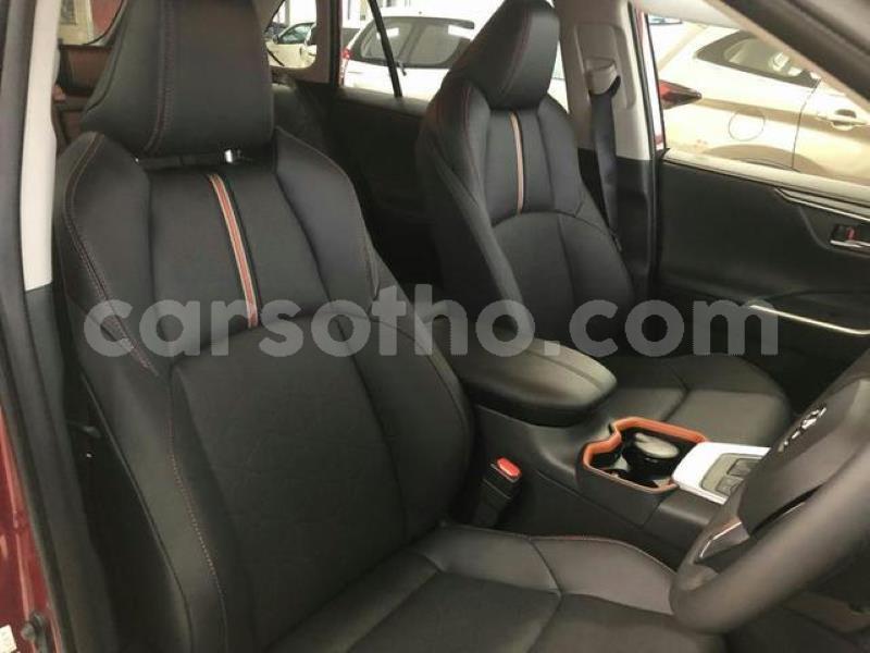 Big with watermark 12