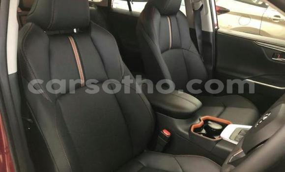 Sayi Na hannu Toyota RAV4 Other Mota in Maseru a Maseru Sayi Na hannu Toyota RAV4 Other Mota in Maseru a Maseru