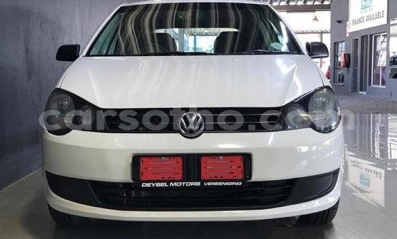 Sayi Na hannu Volkswagen Polo White Mota in Hlotse a Leribe Sayi Na hannu Volkswagen Polo White Mota in Hlotse a Leribe