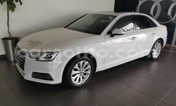 Buy Used Audi A4 White Car in Maseru in Maseru Buy Used Audi A4 White Car in Maseru in Maseru