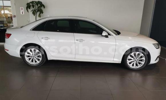Buy Used Audi A4 White Car in Maseru in Maseru Buy Used Audi A4 White Car in Maseru in Maseru