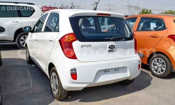 Sayi Imported Kia Picanto White Mota in Import - Dubai a Maseru Sayi Imported Kia Picanto White Mota in Import - Dubai a Maseru