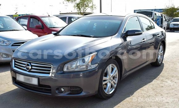 Sayi Imported Nissan Maxima Other Mota in Import - Dubai a Maseru Sayi Imported Nissan Maxima Other Mota in Import - Dubai a Maseru