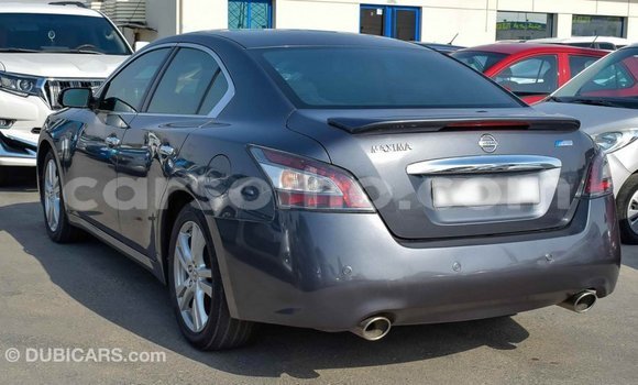 Sayi Imported Nissan Maxima Other Mota in Import - Dubai a Maseru Sayi Imported Nissan Maxima Other Mota in Import - Dubai a Maseru