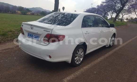 Sayi Na hannu Toyota Corolla White Mota in Maseru a Maseru Sayi Na hannu Toyota Corolla White Mota in Maseru a Maseru