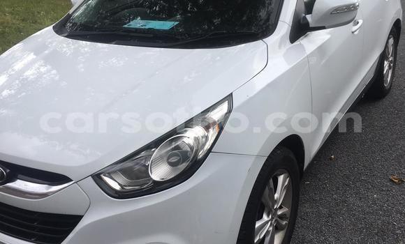 Buy New Hyundai Centennial White Car in Butha–Buthe in Thaba-Tseka Buy New Hyundai Centennial White Car in Butha–Buthe in Thaba-Tseka