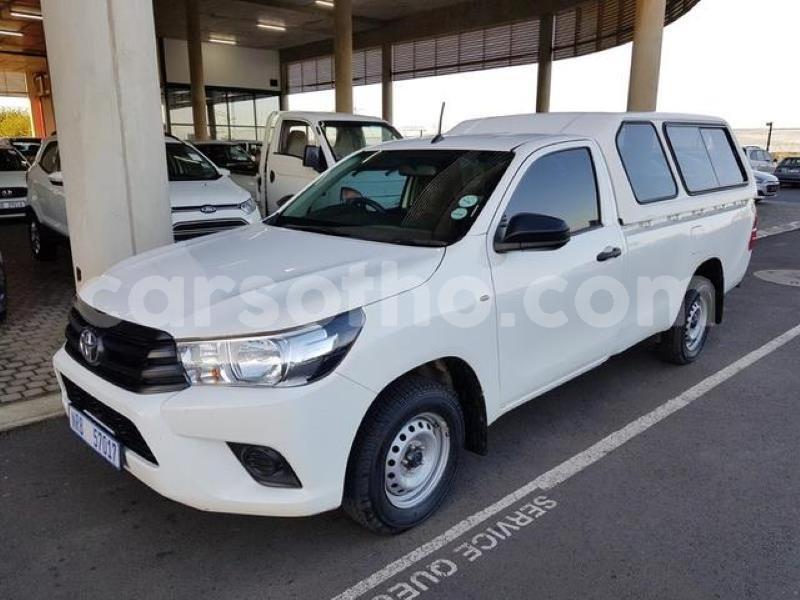 Big with watermark m2