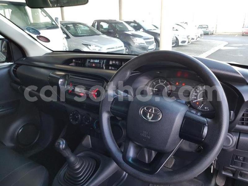 Big with watermark m7