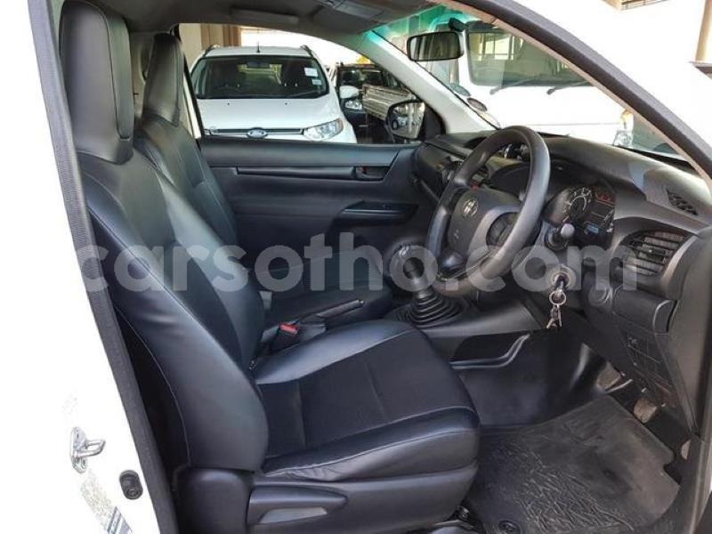 Big with watermark m8