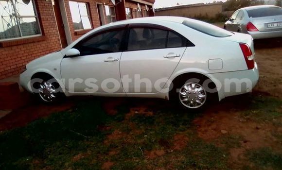 Sayi Na hannu Nissan Primera White Mota in Maseru a Maseru Sayi Na hannu Nissan Primera White Mota in Maseru a Maseru