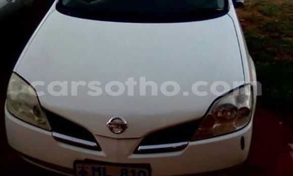 Sayi Na hannu Nissan Primera White Mota in Maseru a Maseru Sayi Na hannu Nissan Primera White Mota in Maseru a Maseru