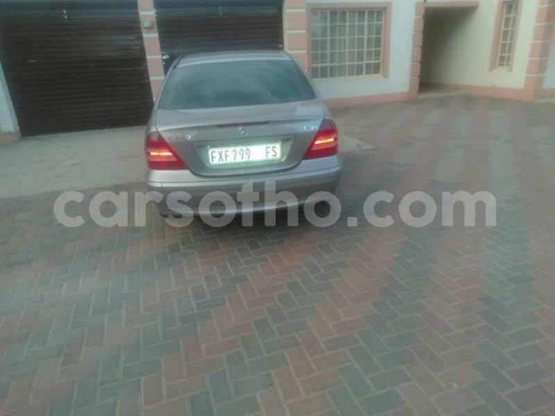 Big with watermark 65485426 2422778127952789 9071731207082868736 o