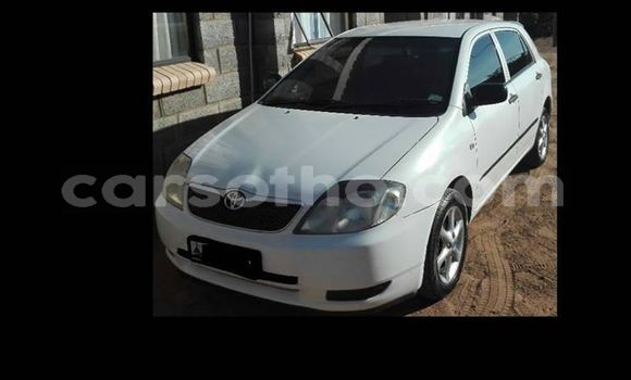 Buy Used Toyota Runx White Car in Maseru in Maseru Buy Used Toyota Runx White Car in Maseru in Maseru