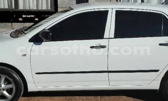 Buy Used Toyota Runx White Car in Maseru in Maseru Buy Used Toyota Runx White Car in Maseru in Maseru