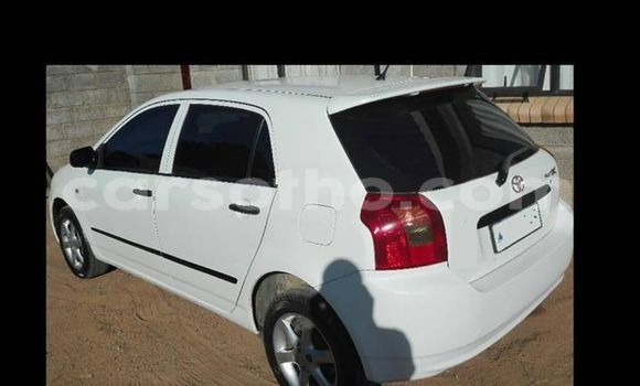 Buy Used Toyota Runx White Car in Maseru in Maseru Buy Used Toyota Runx White Car in Maseru in Maseru