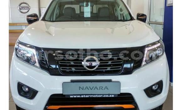 اشتري مستعمل Nissan Navara White سيارة في Maseru في Maseru اشتري مستعمل Nissan Navara White سيارة في Maseru في Maseru