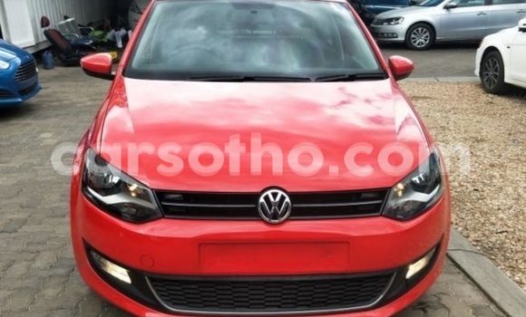 Buy Used Volkswagen Polo Red Car in Butha Buthe in Butha-Buthe Buy Used Volkswagen Polo Red Car in Butha Buthe in Butha-Buthe