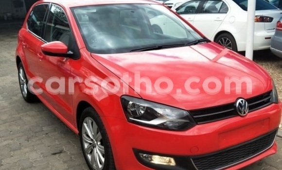 Buy Used Volkswagen Polo Red Car in Butha Buthe in Butha-Buthe Buy Used Volkswagen Polo Red Car in Butha Buthe in Butha-Buthe