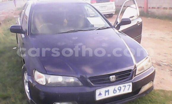 اشتري مستعمل Honda Accord Other سيارة في Maseru في Maseru اشتري مستعمل Honda Accord Other سيارة في Maseru في Maseru