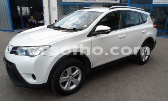 اشتري مستعمل Toyota RAV4 White سيارة في Thaba–Tseka في Mafeteng اشتري مستعمل Toyota RAV4 White سيارة في Thaba–Tseka في Mafeteng