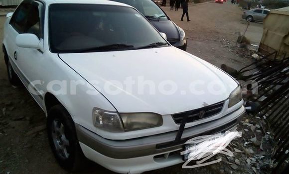 Acheter Occasion Voiture Toyota Corolla Blanc à Maseru, Maseru Acheter Occasion Voiture Toyota Corolla Blanc à Maseru, Maseru