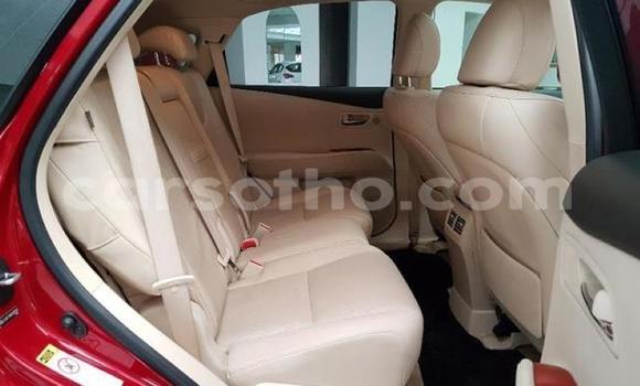 Sayi Na hannu Lexus RX 350 White Mota in Hlotse a Leribe Sayi Na hannu Lexus RX 350 White Mota in Hlotse a Leribe