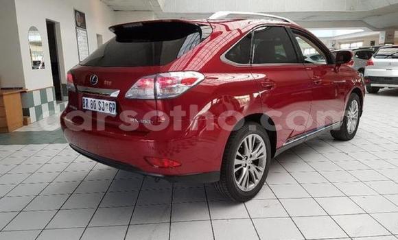 Sayi Na hannu Lexus RX 350 White Mota in Hlotse a Leribe Sayi Na hannu Lexus RX 350 White Mota in Hlotse a Leribe