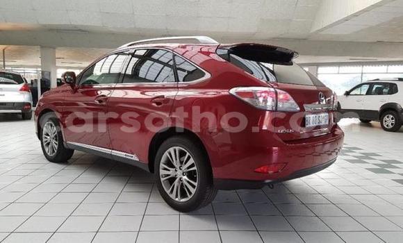Sayi Na hannu Lexus RX 350 White Mota in Hlotse a Leribe Sayi Na hannu Lexus RX 350 White Mota in Hlotse a Leribe