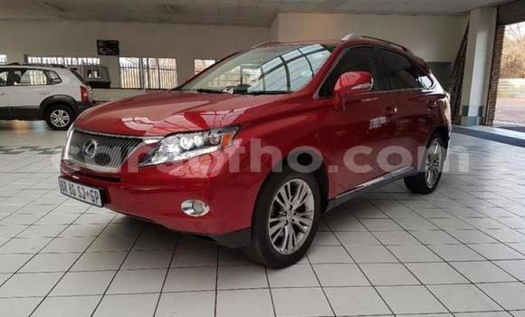 Sayi Na hannu Lexus RX 350 White Mota in Hlotse a Leribe Sayi Na hannu Lexus RX 350 White Mota in Hlotse a Leribe