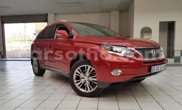 Sayi Na hannu Lexus RX 350 White Mota in Hlotse a Leribe Sayi Na hannu Lexus RX 350 White Mota in Hlotse a Leribe