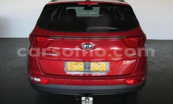 Sayi Na hannu Kia Sportage Red Mota in Hlotse a Leribe Sayi Na hannu Kia Sportage Red Mota in Hlotse a Leribe
