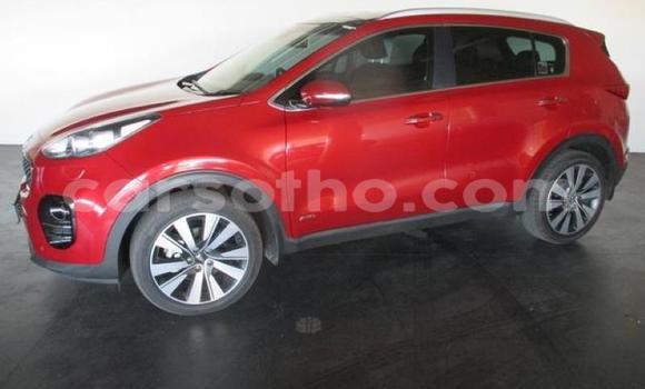 Sayi Na hannu Kia Sportage Red Mota in Hlotse a Leribe Sayi Na hannu Kia Sportage Red Mota in Hlotse a Leribe