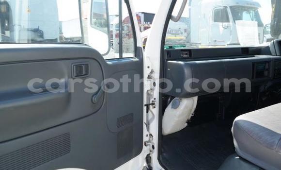 Sayi Na hannu Nissan UD White Babbar mota in Maseru a Maseru Sayi Na hannu Nissan UD White Babbar mota in Maseru a Maseru