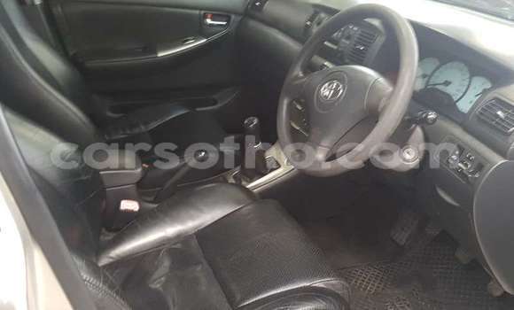 اشتري مستعمل Toyota Runx Silver سيارة في Maseru في Maseru اشتري مستعمل Toyota Runx Silver سيارة في Maseru في Maseru