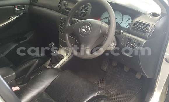 اشتري مستعمل Toyota Runx Silver سيارة في Maseru في Maseru اشتري مستعمل Toyota Runx Silver سيارة في Maseru في Maseru