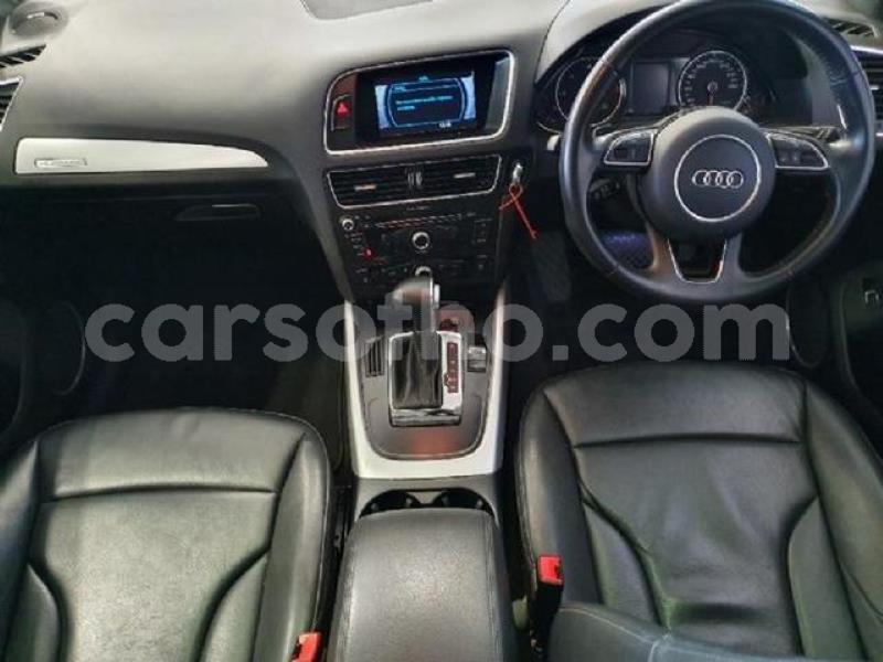 Big with watermark crop800x600 4