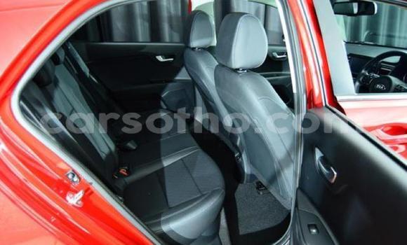 اشتري مستعمل Kia Rio Red سيارة في Hlotse في Leribe اشتري مستعمل Kia Rio Red سيارة في Hlotse في Leribe
