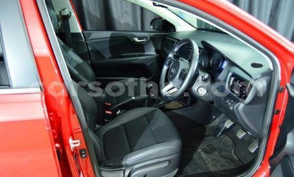 اشتري مستعمل Kia Rio Red سيارة في Hlotse في Leribe اشتري مستعمل Kia Rio Red سيارة في Hlotse في Leribe