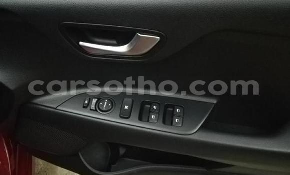 اشتري مستعمل Kia Rio Red سيارة في Hlotse في Leribe اشتري مستعمل Kia Rio Red سيارة في Hlotse في Leribe