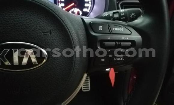 اشتري مستعمل Kia Rio Red سيارة في Hlotse في Leribe اشتري مستعمل Kia Rio Red سيارة في Hlotse في Leribe