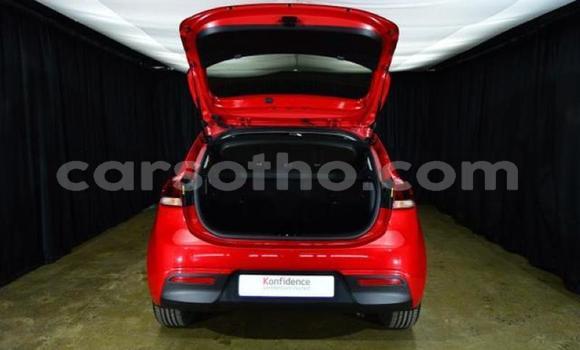 اشتري مستعمل Kia Rio Red سيارة في Hlotse في Leribe اشتري مستعمل Kia Rio Red سيارة في Hlotse في Leribe
