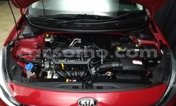 اشتري مستعمل Kia Rio Red سيارة في Hlotse في Leribe اشتري مستعمل Kia Rio Red سيارة في Hlotse في Leribe