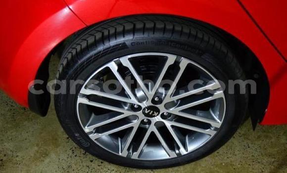 اشتري مستعمل Kia Rio Red سيارة في Hlotse في Leribe اشتري مستعمل Kia Rio Red سيارة في Hlotse في Leribe