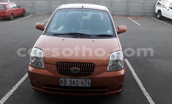 اشتري مستعمل Kia Picanto Other سيارة في Maseru في Maseru اشتري مستعمل Kia Picanto Other سيارة في Maseru في Maseru