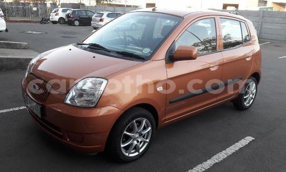 اشتري مستعمل Kia Picanto Other سيارة في Maseru في Maseru اشتري مستعمل Kia Picanto Other سيارة في Maseru في Maseru