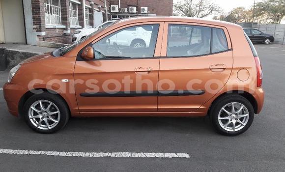 اشتري مستعمل Kia Picanto Other سيارة في Maseru في Maseru اشتري مستعمل Kia Picanto Other سيارة في Maseru في Maseru