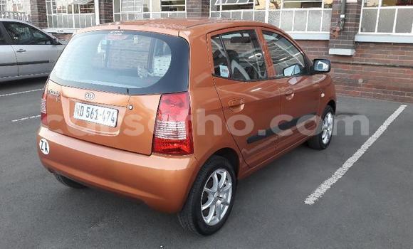 اشتري مستعمل Kia Picanto Other سيارة في Maseru في Maseru اشتري مستعمل Kia Picanto Other سيارة في Maseru في Maseru
