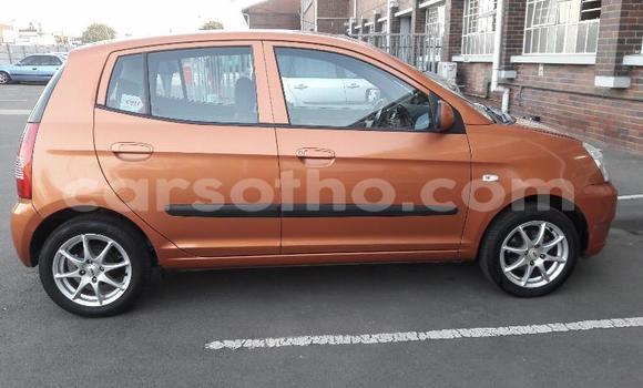 اشتري مستعمل Kia Picanto Other سيارة في Maseru في Maseru اشتري مستعمل Kia Picanto Other سيارة في Maseru في Maseru