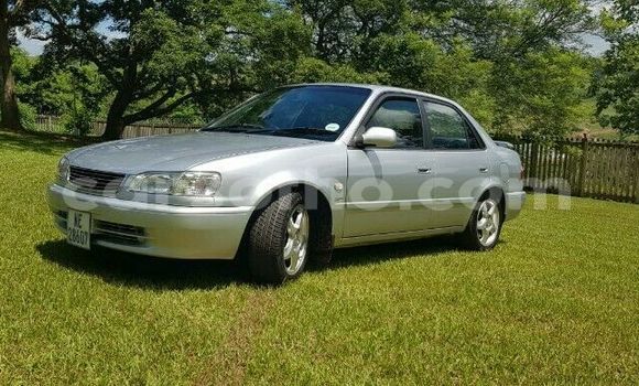 Acheter Occasion Voiture Toyota Corolla Gris à Maseru, Maseru Acheter Occasion Voiture Toyota Corolla Gris à Maseru, Maseru